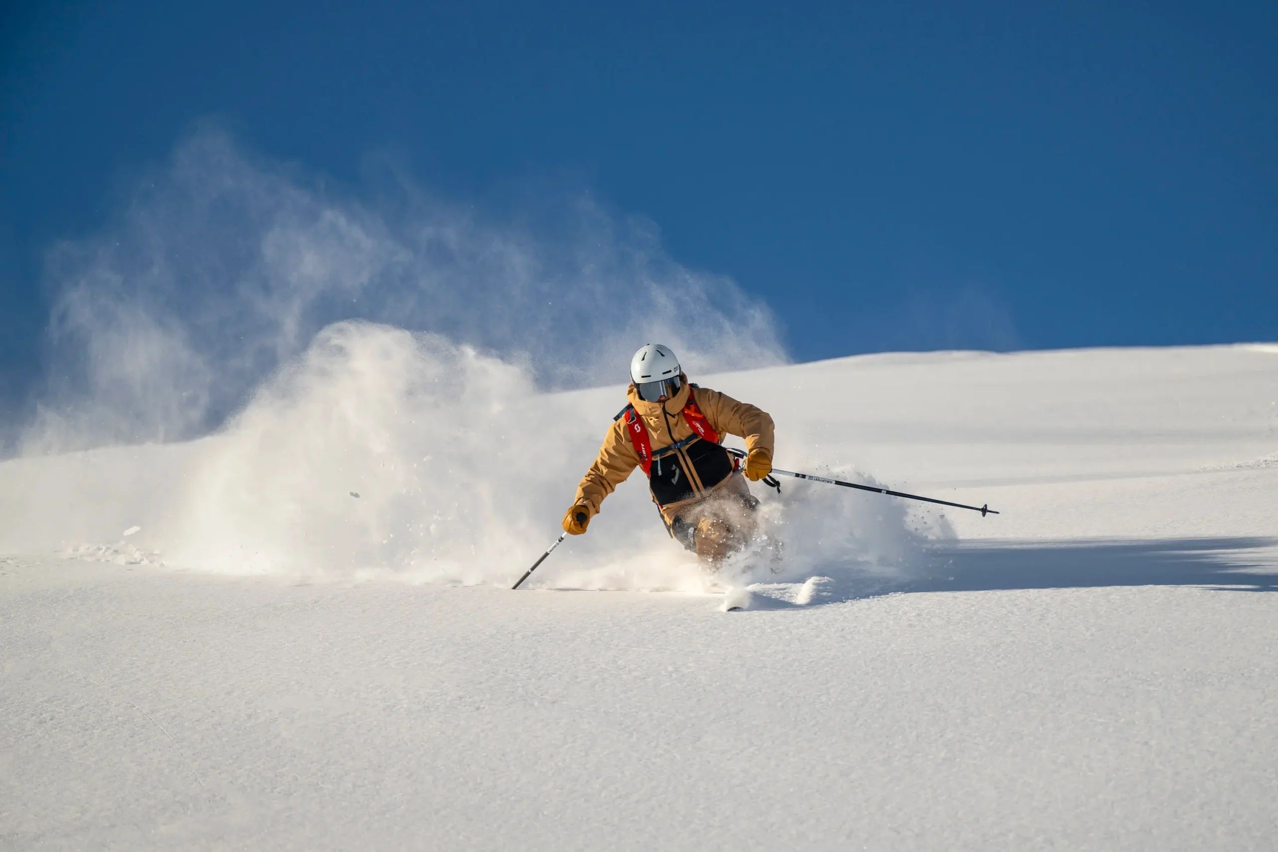 プロのスキーコーチ Professional ski coach